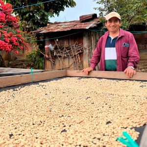 Café de Especialidad Oaxaca