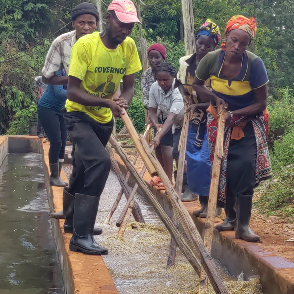 Doris Tuiyott | África | Edición Especial: Navidad - Image 8