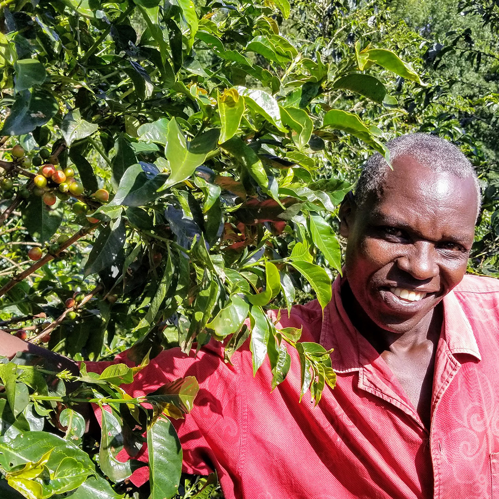 Doris Tuiyott | África | Edición Especial: Navidad - Image 7