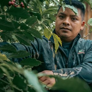 Roman Garcia | Honey